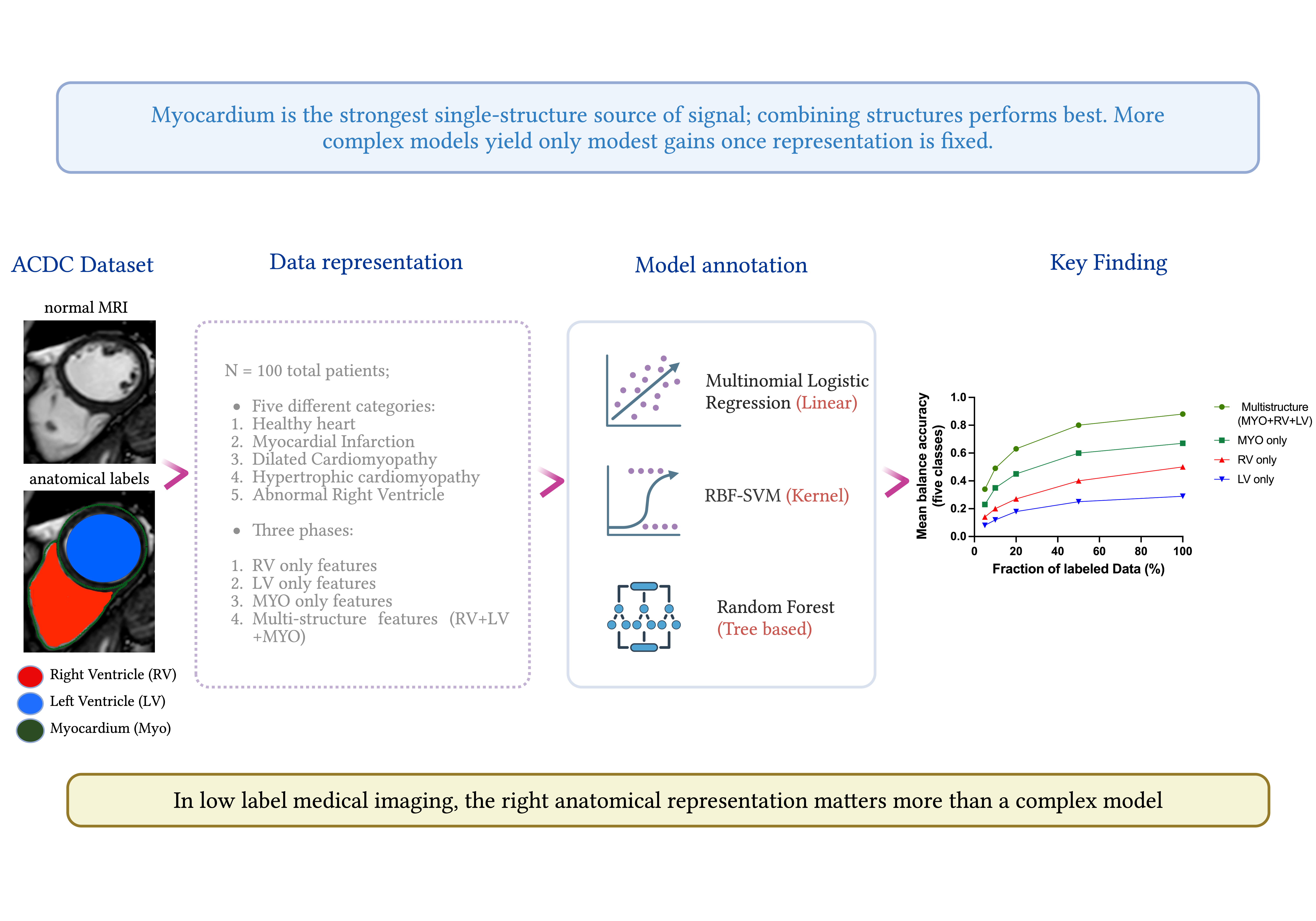 Anatomy-aware cardiac MRI representation learning overview
